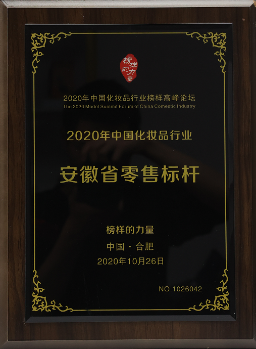 2020年中國化妝品行業(yè) 安徽省零售標(biāo)桿